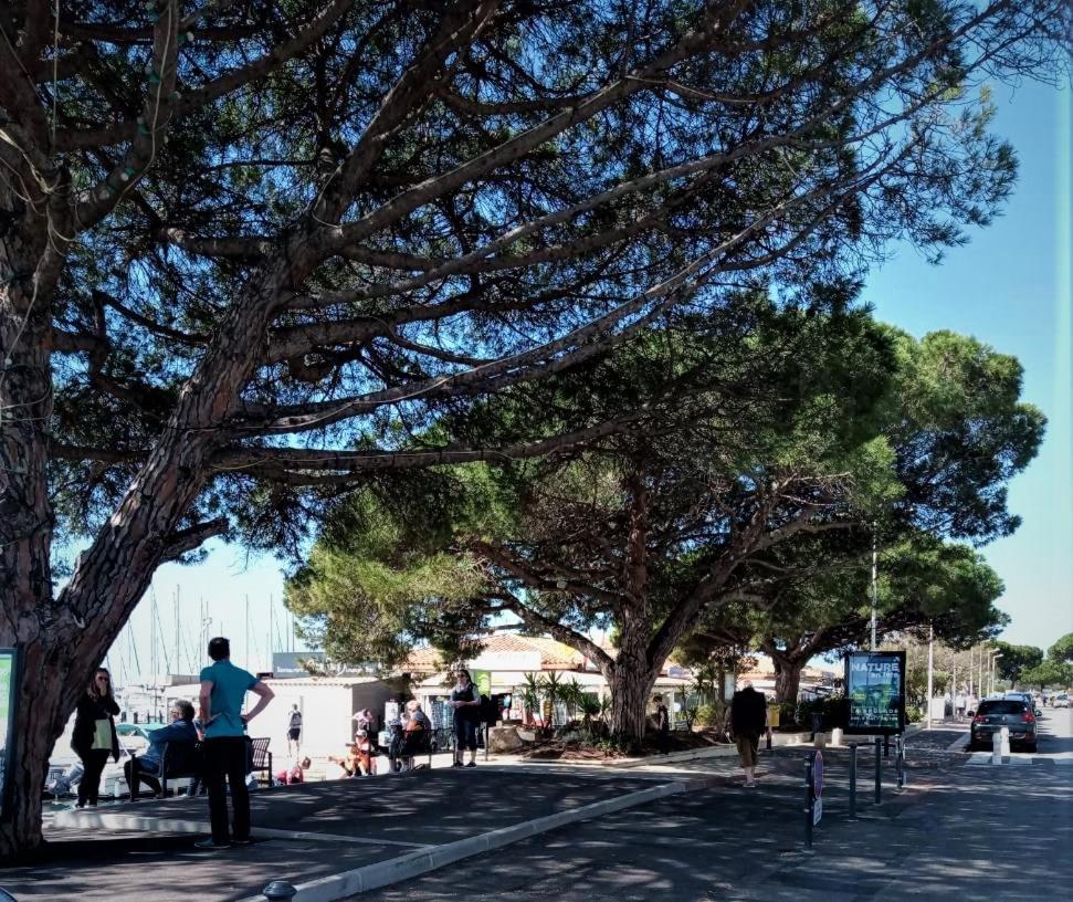 Le Jardin De La Plage - Linges Inclus La Londe-les-Maures Bagian luar foto